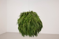 https://lauramcmorrow.com/files/gimgs/th-17_Laura_McMorrow_The_LostAcre_sculpture_web.jpg