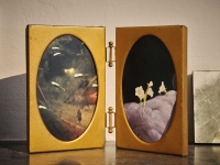 https://lauramcmorrow.com/files/gimgs/th-37_Install-shot-Laura-McMorrow-the-gardener-Digs-Dock-collage.jpg