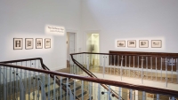 https://lauramcmorrow.com/files/gimgs/th-37_Install-shot-Laura-McMorrow-the-gardener-Digs-Dock-foyer.jpg