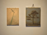 https://lauramcmorrow.com/files/gimgs/th-37_Install-shot-Laura-McMorrow-the-gardener-Digs-Dock-paintings3.jpg